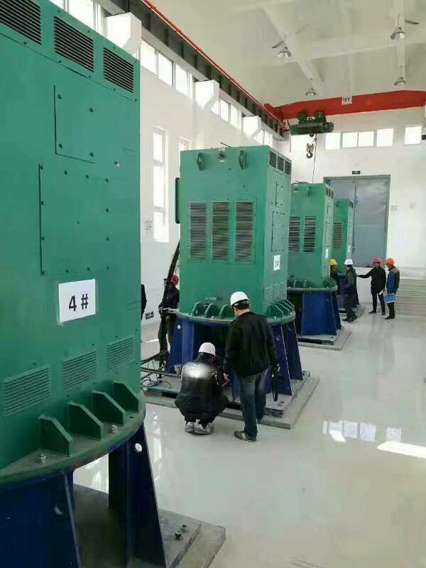 Y6301-6某污水处理厂使用我厂的立式高压电机安装现场