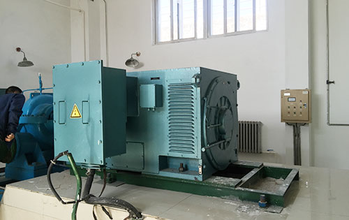 Y6301-6某水电站工程主水泵使用我公司高压电机