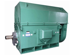 Y6301-6Y系列6KV高压电机