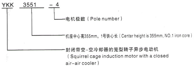 YKK系列(H355-1000)高压Y6301-6三相异步电机西安泰富西玛电机型号说明